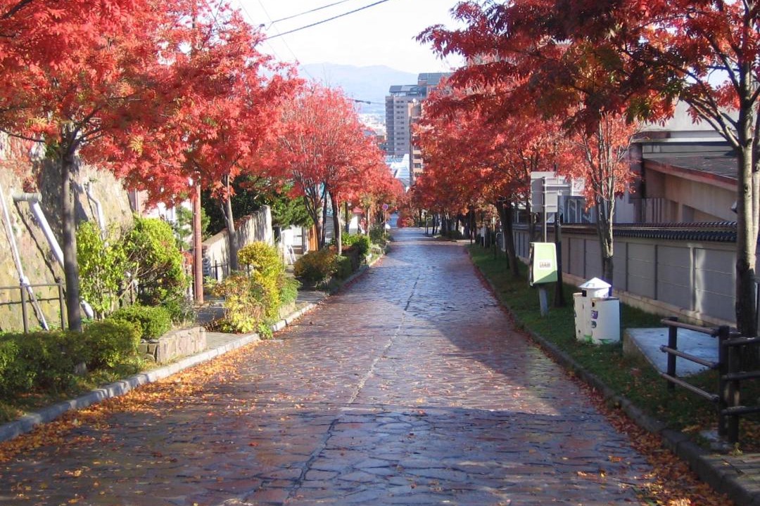 Photo of Others in Motomachi