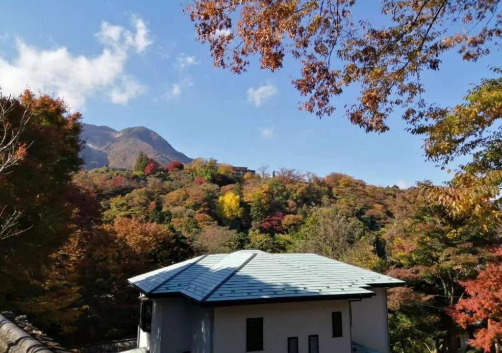 Photo of Others in Hakone