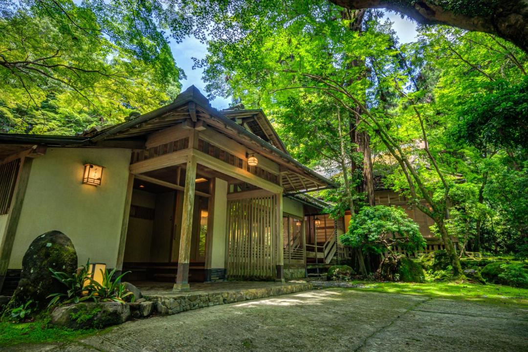 Photo of Others in Nara
