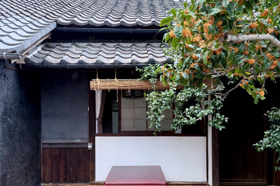 Photo of Others in Matsubara