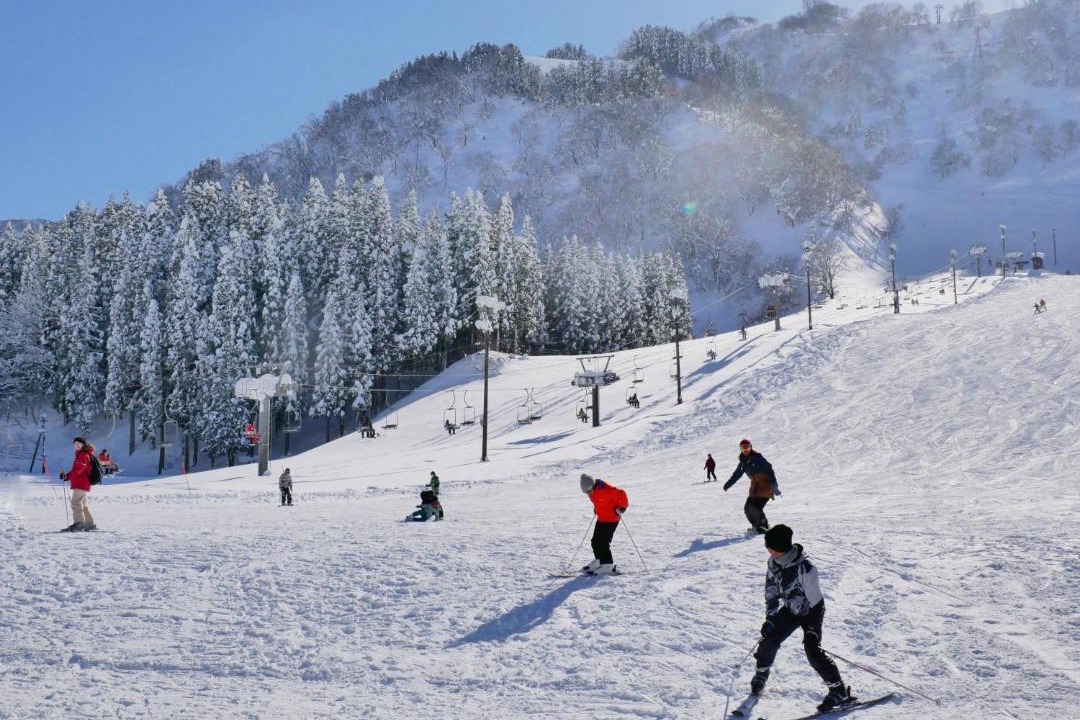 Photo of Others in Hakusan