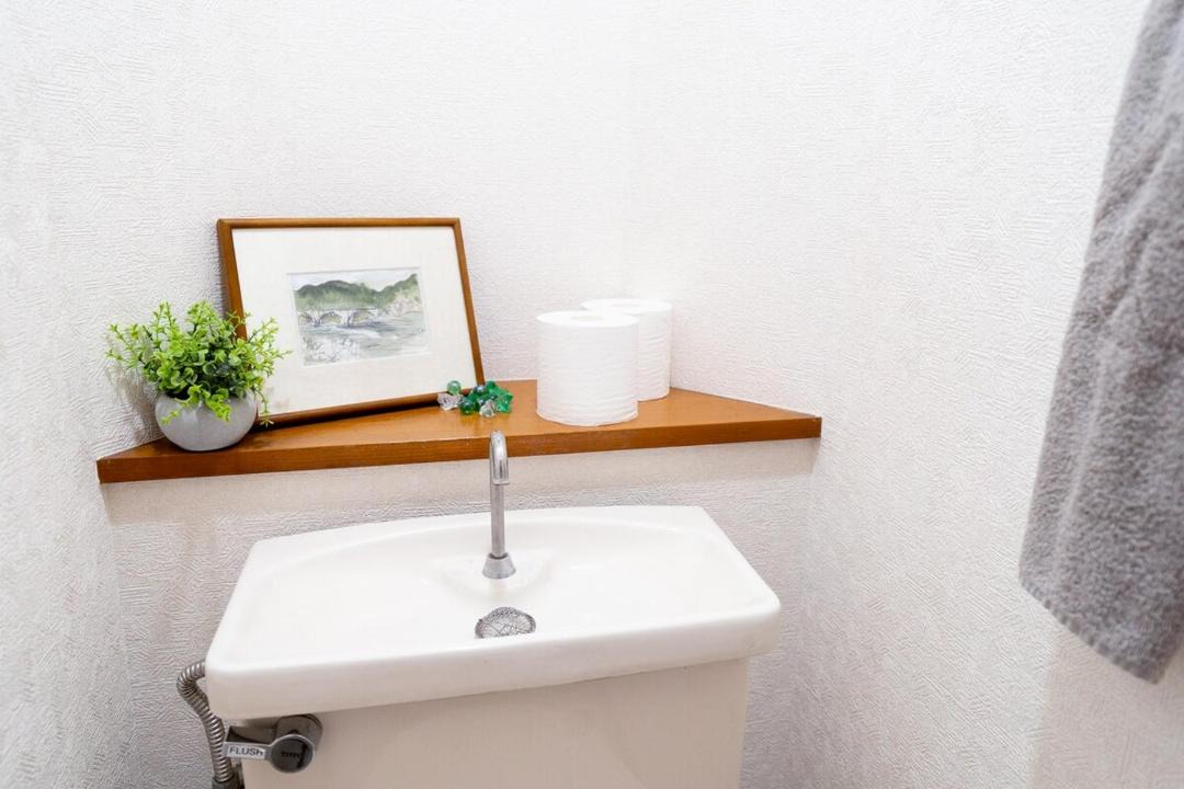 Photo of Bathroom in Kameari