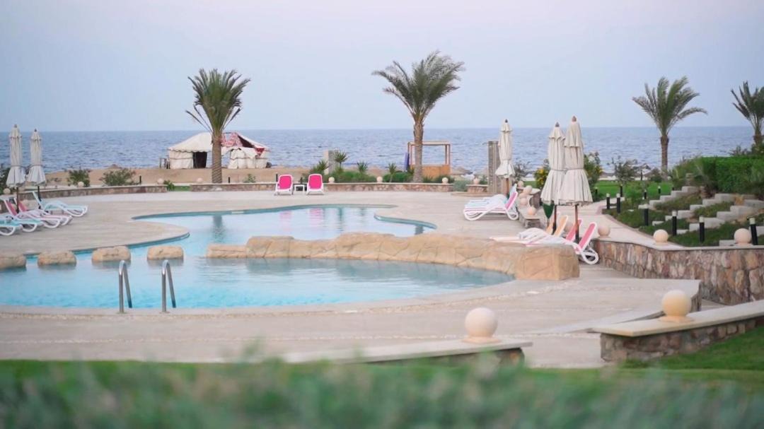 Photo of Others in Port Ghalib