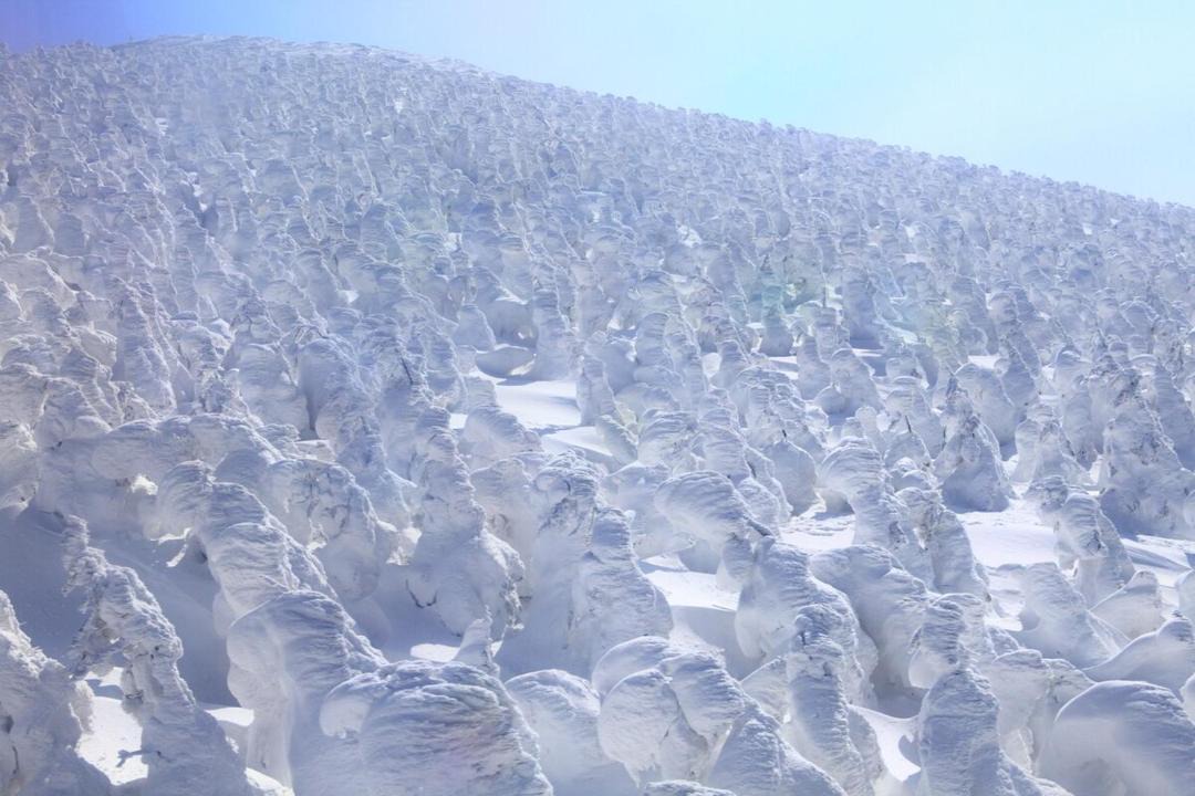 Photo of Others in Tokamachi