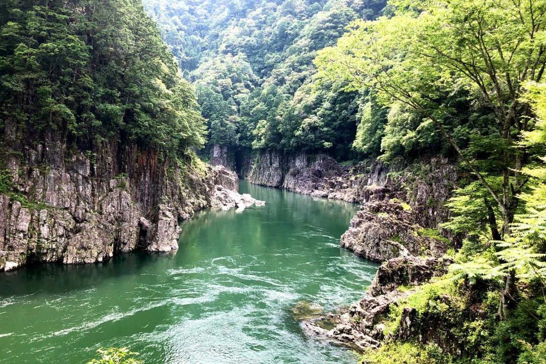 Photo of Others in Kumano