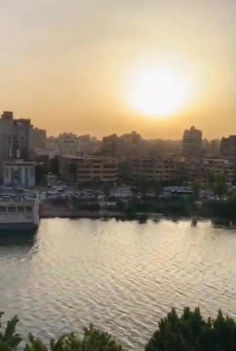 Photo of Others in Zamalek