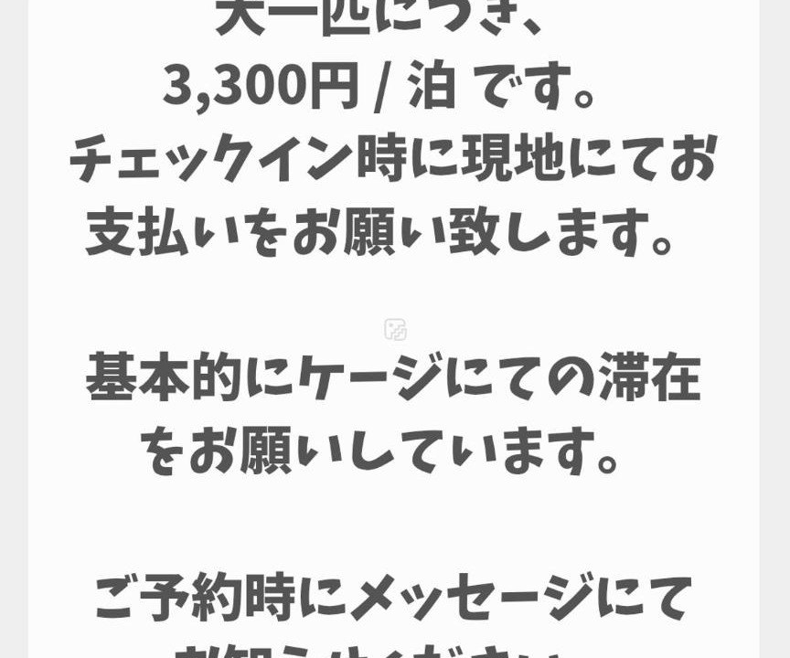 Photo of Others in Kitsuki
