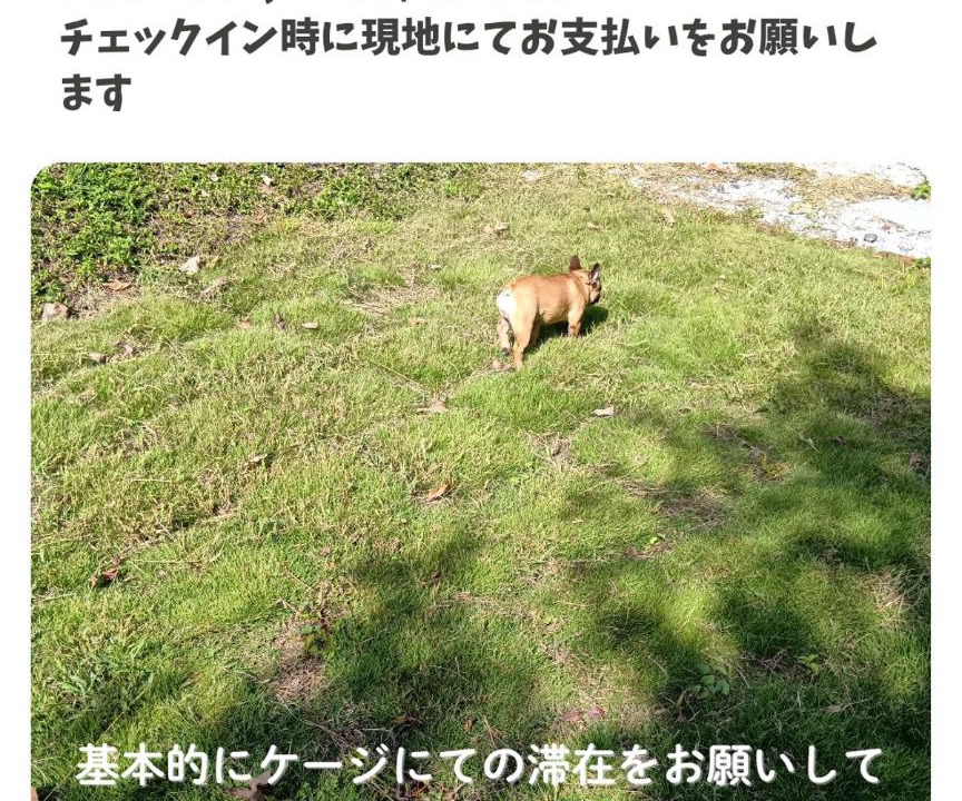 Photo of Others in Kitsuki