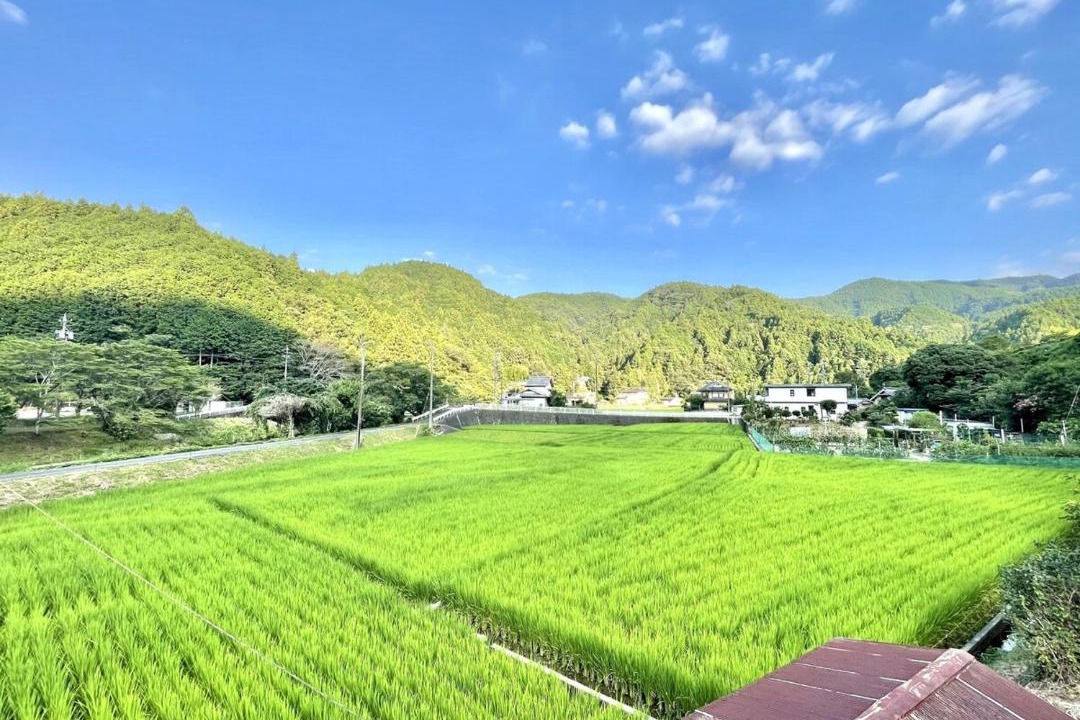 Photo of Others in Fujinomiya