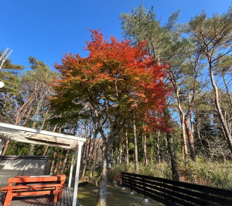 Photo of Others in Nasu