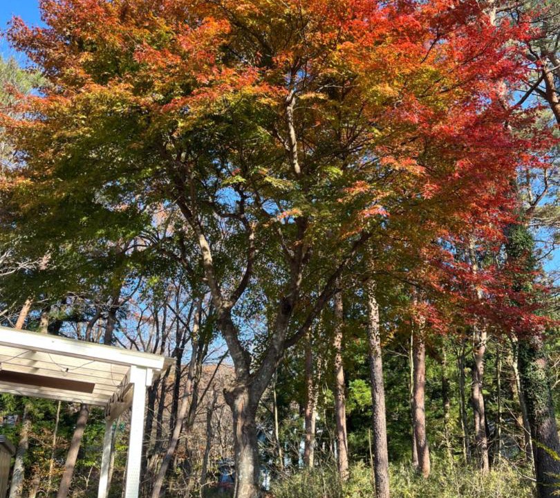 Photo of Outdoor in Nasu