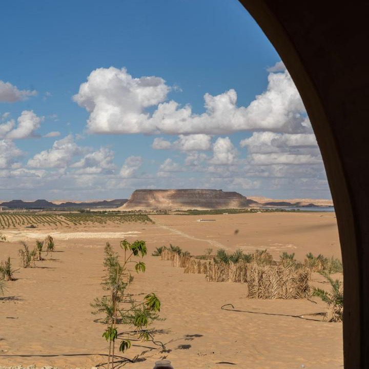 Photo of Others in Siwa