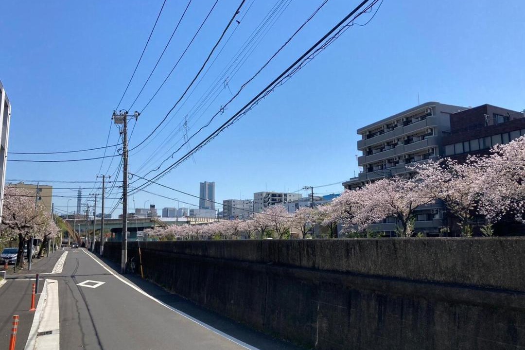 Photo of Others in Nishi