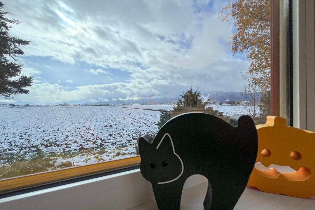 Photo of Others in Furano