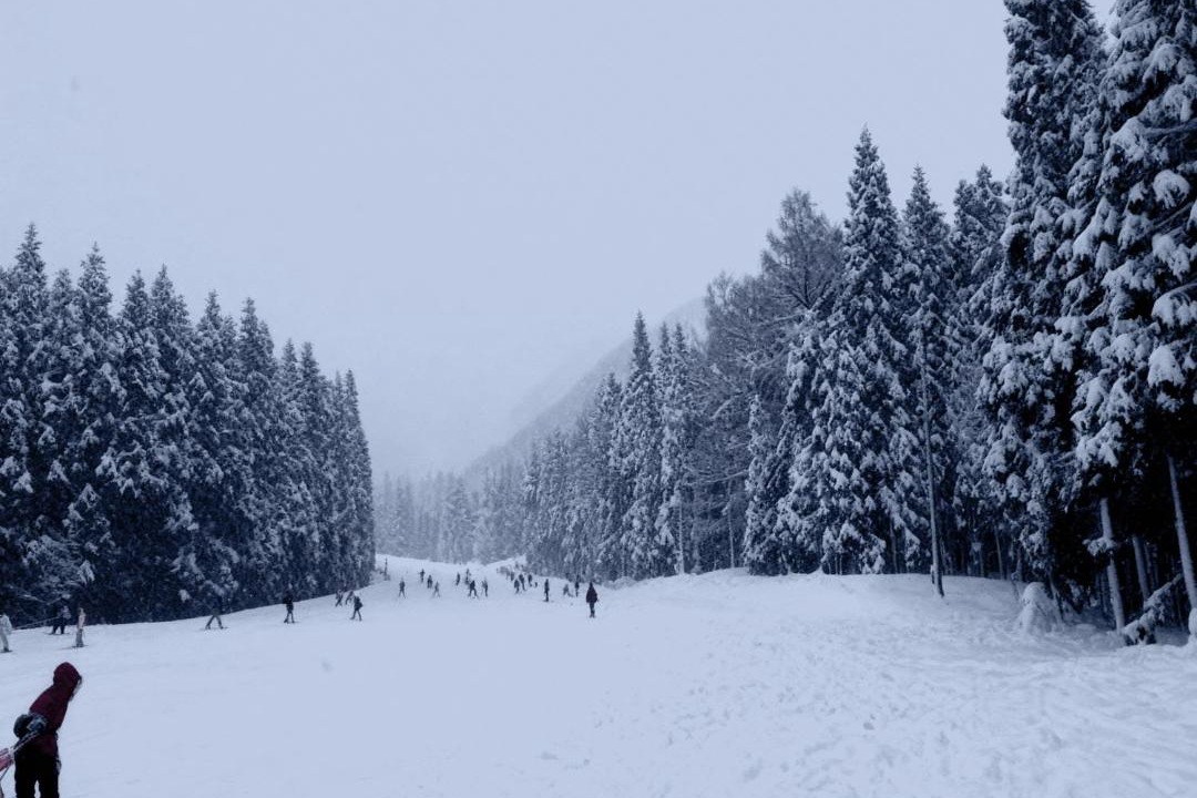 Photo of Others in Yuzawa-machi
