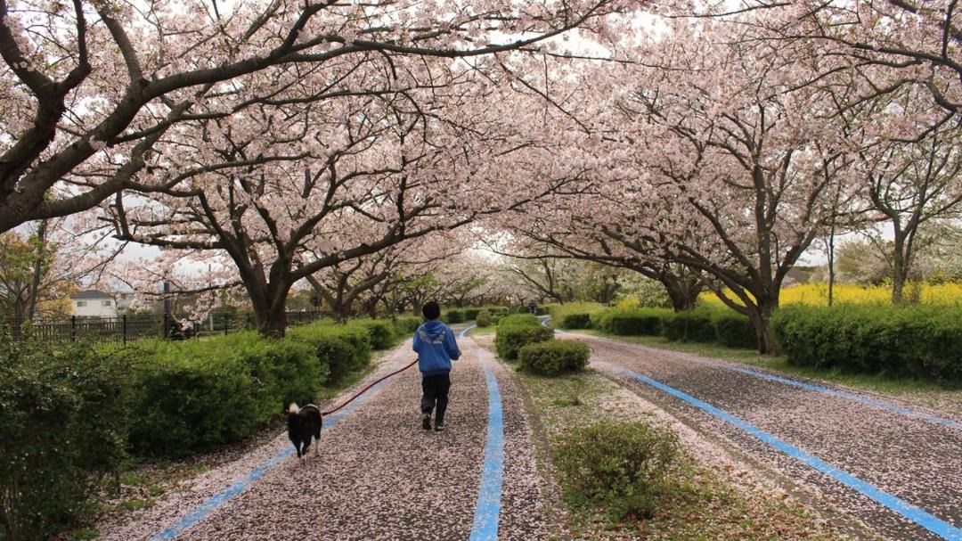 Photo of Others in Higashi-ku