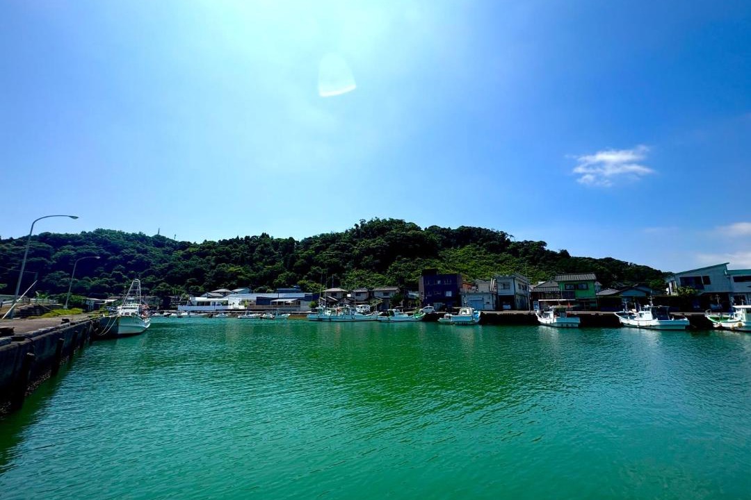 Photo of Others in Aoshima