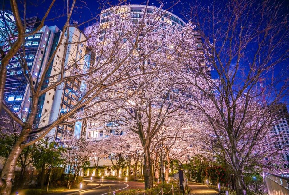 Photo of Others in Akasaka