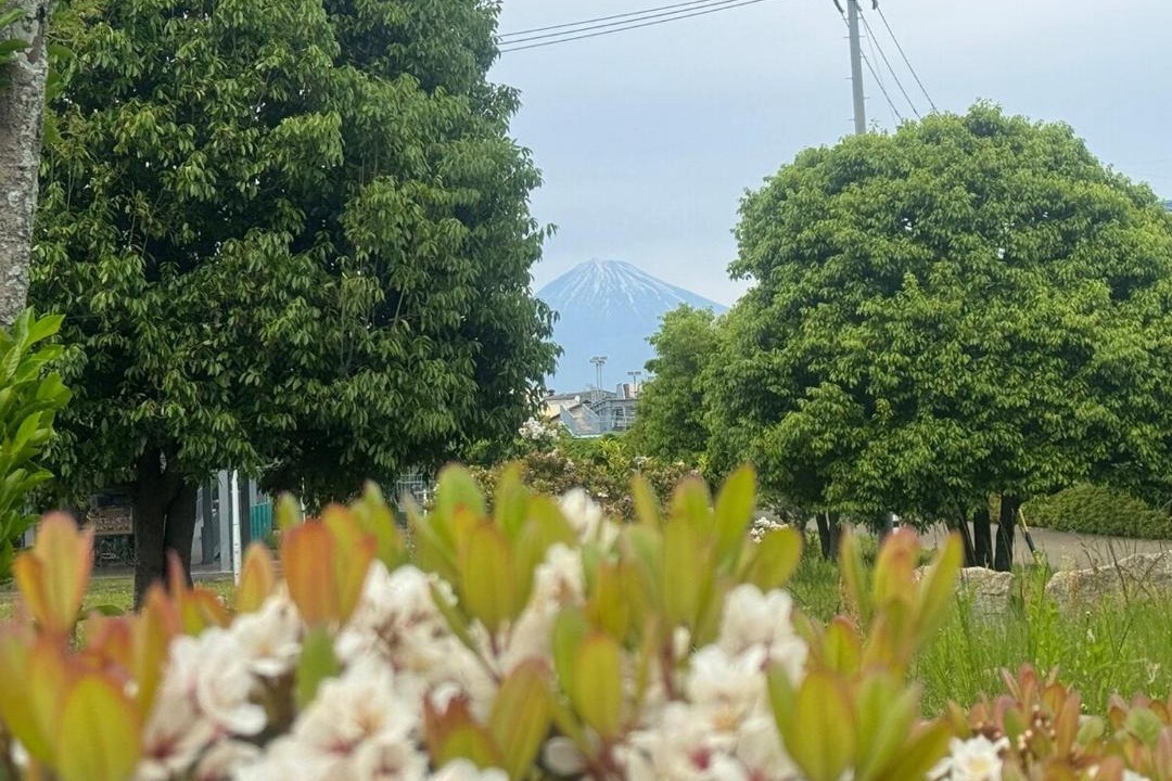 Photo of Outdoor in Shimizu Ward