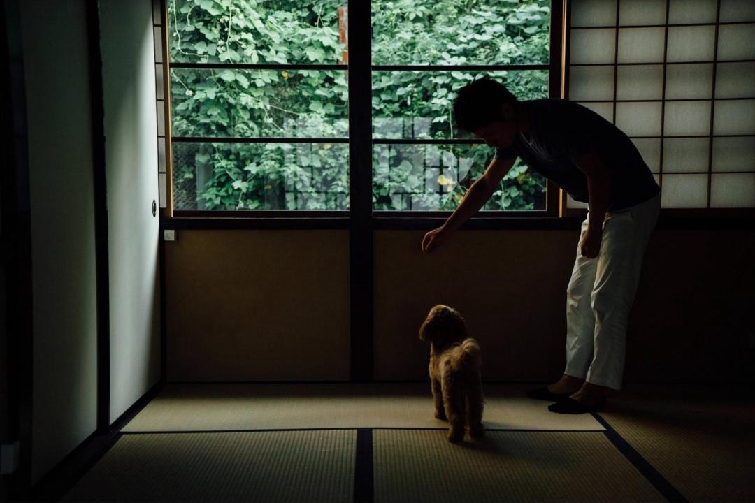 Photo of Others in Kanazawa