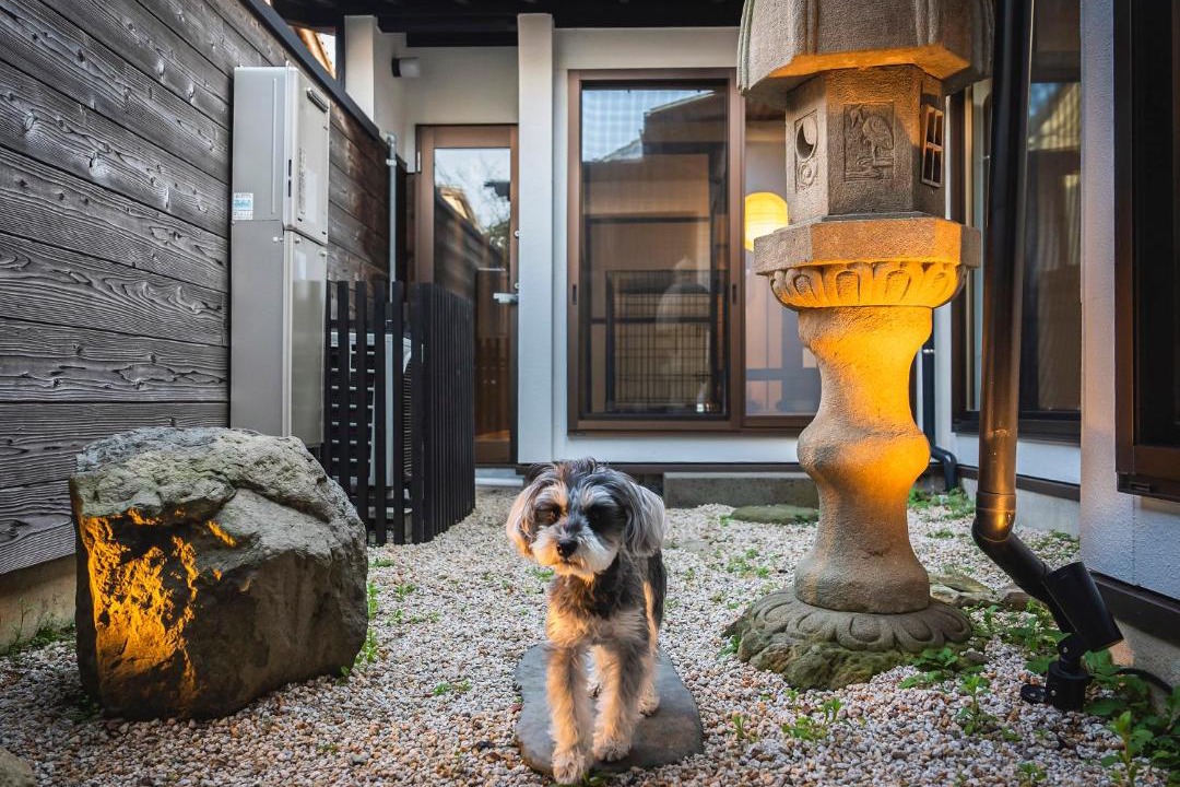Photo of Others in Matsue