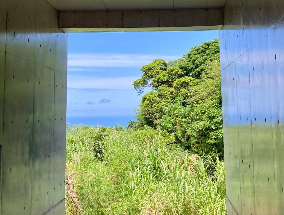 Photo of Others in Okinawa
