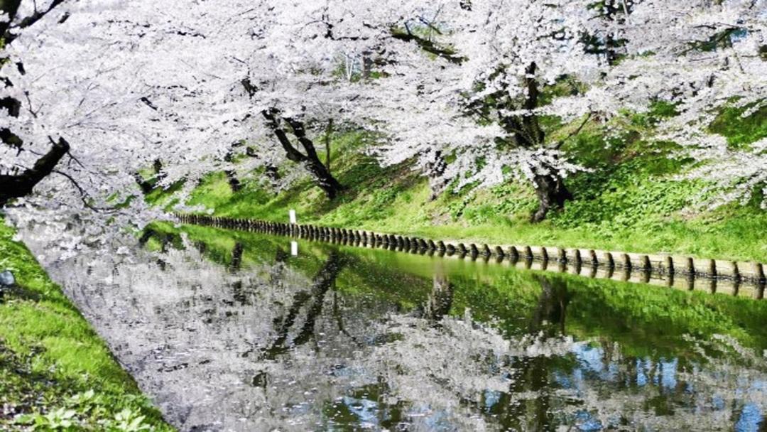 Photo of Others in Kuroishi
