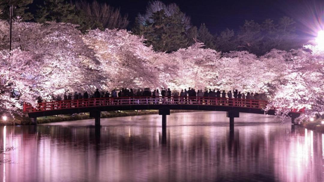 Photo of Others in Kuroishi