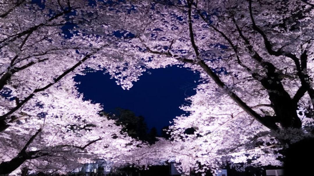 Photo of Others in Kuroishi