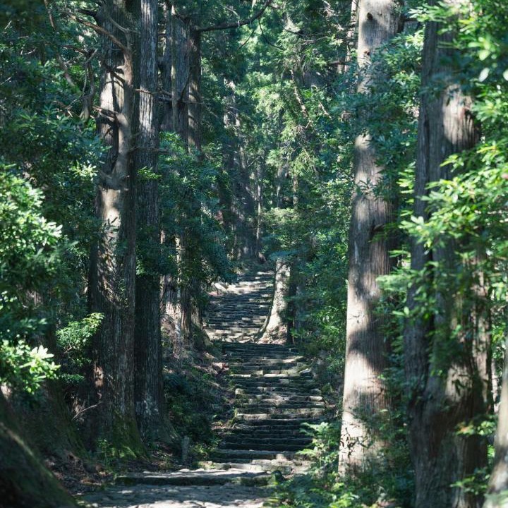 Photo of Others in Kiho-cho