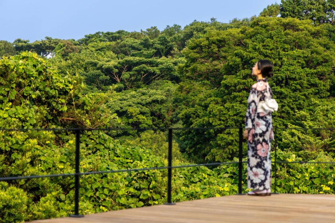 Photo of Others in Okawa