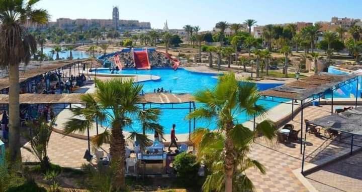 Photo of Others in Marsa Matruh