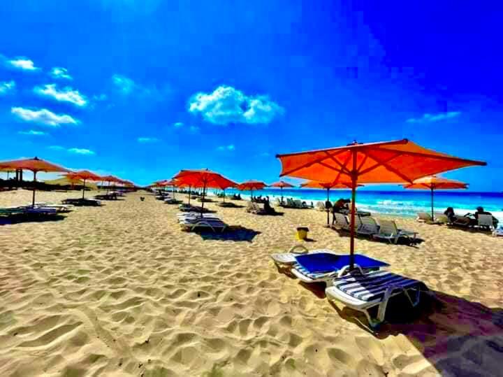 Photo of Others in Borg el Arab