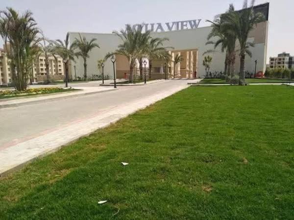 Photo of Others in Borg el Arab