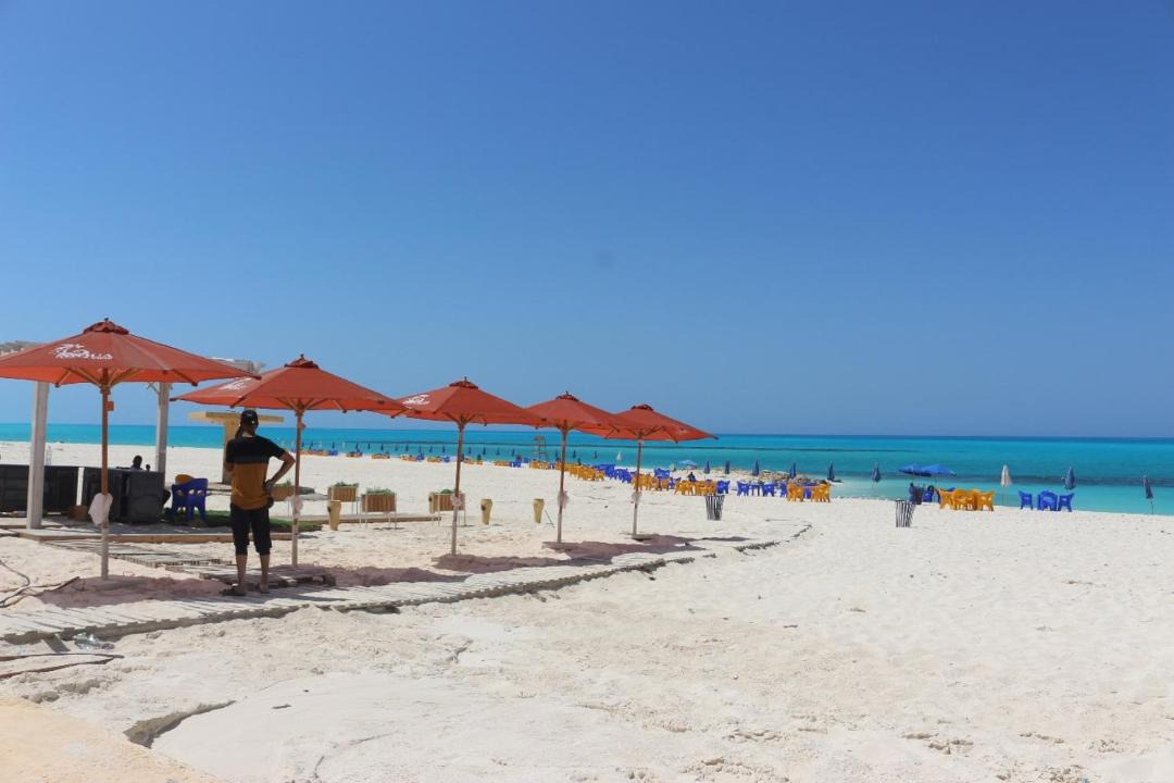 Photo of Others in Borg el Arab