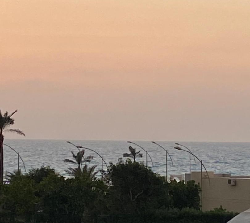 Photo of Others in Borg el Arab