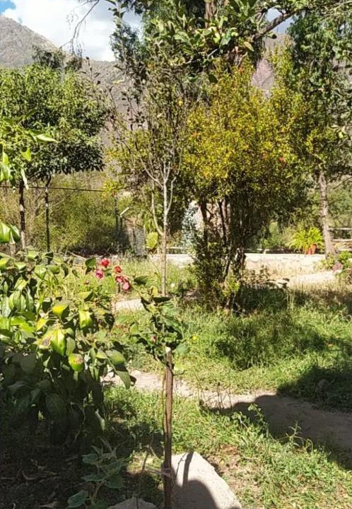 Photo of Outdoor in Huayllabamba