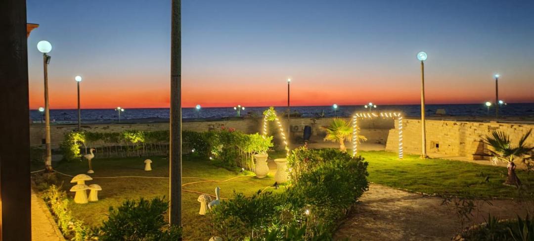 Photo of Others in Borg el Arab