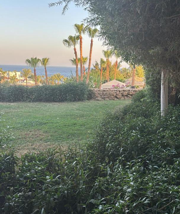 Photo of Others in Sharm El Sheikh