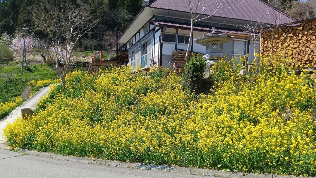 Photo of Others in Kamiminochi