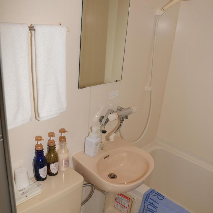 Photo of Bathroom in Yamanakako