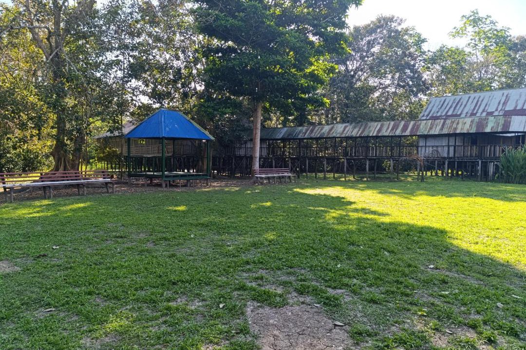 Photo of Others in Yavari