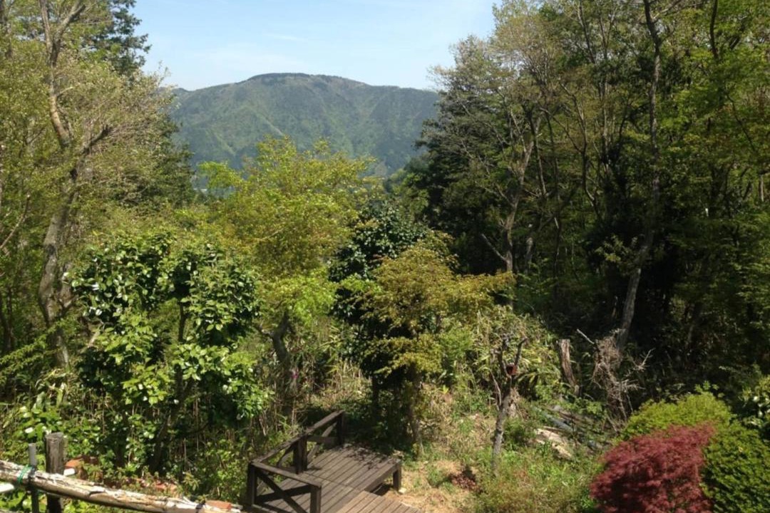Photo of Others in Hakone