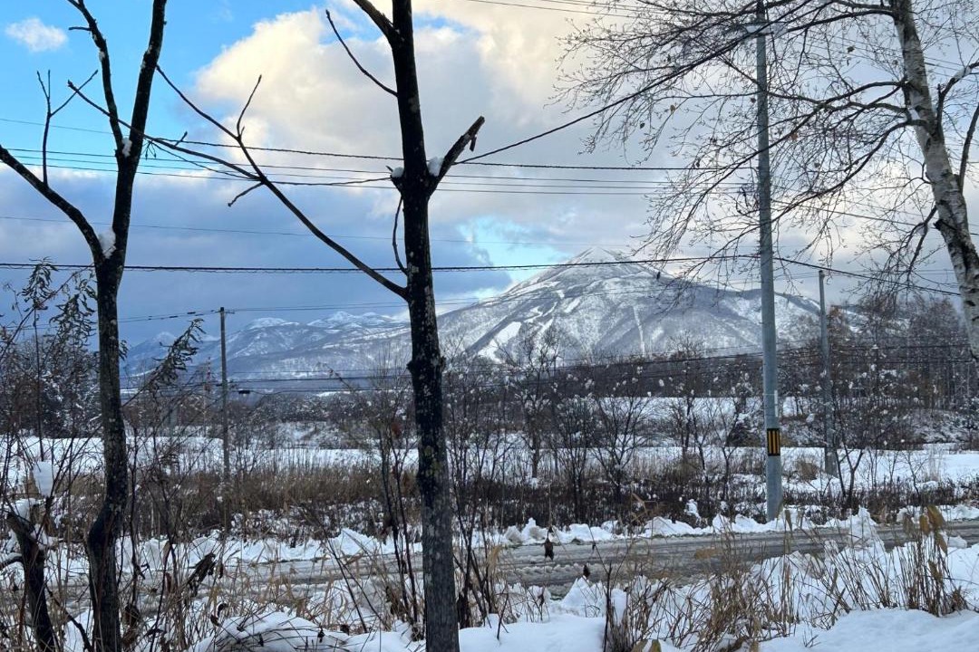 Photo of Others in Niseko