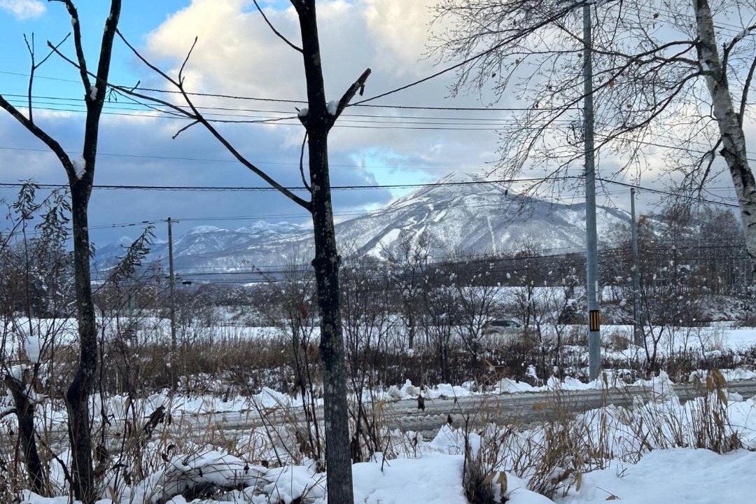 Photo of Others in Niseko