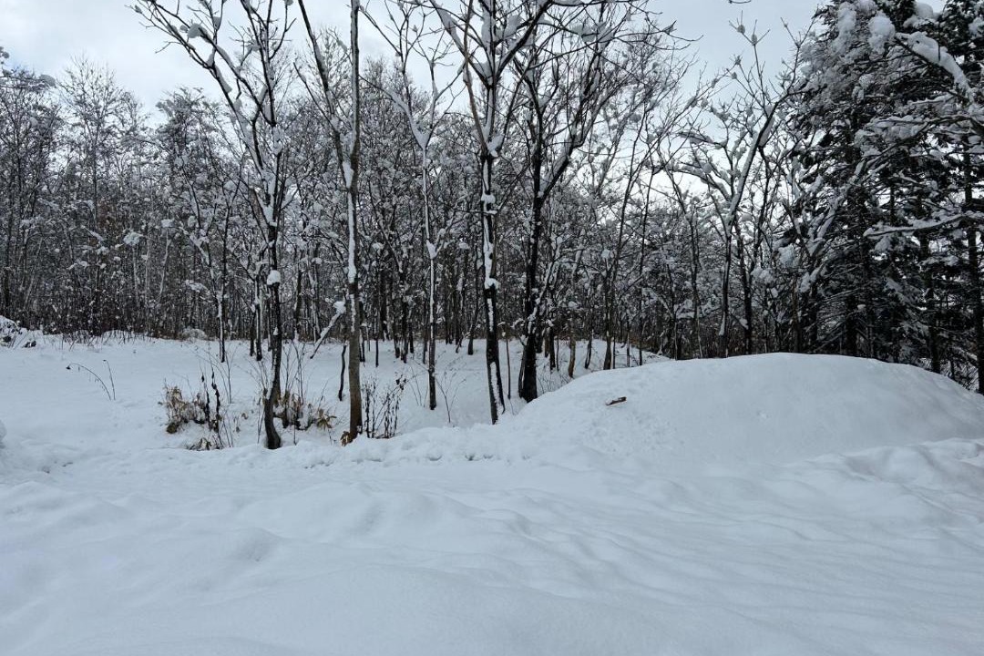 Photo of Others in Niseko