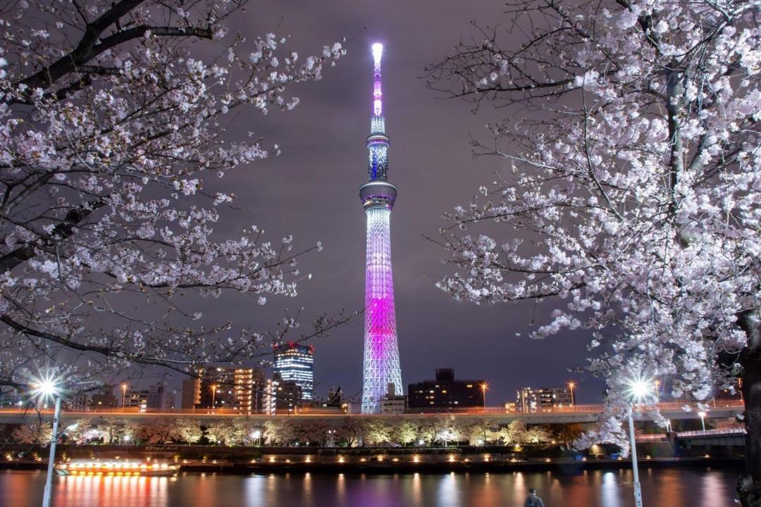 Photo of Others in Azumabashi