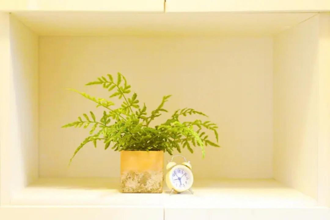 Photo of Others in Higashitateishi