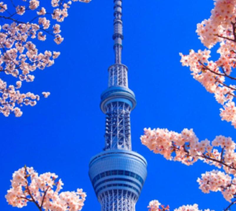 Photo of Others in Higashitateishi