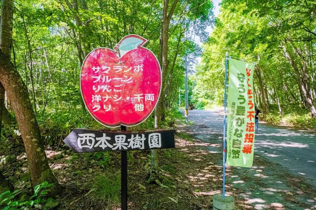 Photo of Others in Minami